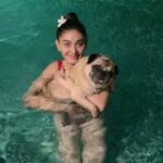 Shefali Jariwala Instagram - @mikasingh love this song !! Simone loves it too !! #reels #reelsindia #pooltime #funtimes #puglove #pugmom #love #summertime