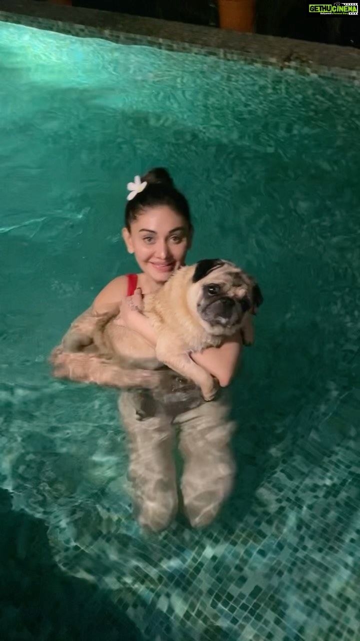 Shefali Jariwala Instagram - @mikasingh love this song !! Simone loves it too !! #reels #reelsindia #pooltime #funtimes #puglove #pugmom #love #summertime
