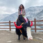 Shefali Jariwala Instagram - Chilling... literally! #freezing #beautiful . . . #sikkim #tsomgolake #awesome #naturelovers #nature #love #nomondayblues #mondaymotivation #picoftheday Tsomgo, Sikkim, India