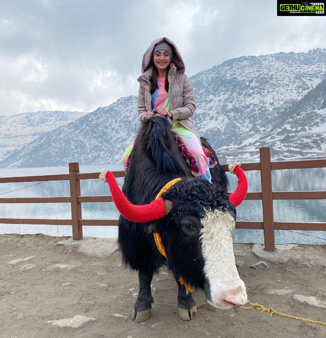 Shefali Jariwala Instagram - Chilling... literally! #freezing #beautiful . . . #sikkim #tsomgolake #awesome #naturelovers #nature #love #nomondayblues #mondaymotivation #picoftheday Tsomgo, Sikkim, India
