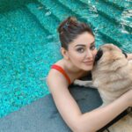 Shefali Jariwala Instagram - Time to beat the #summer heat ! #summertime #love . . . #pooltime #beattheheat #chill #goodvibes #wednesday #picture #waterbaby #puglove #instalike