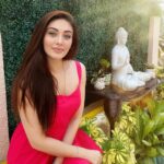Shefali Jariwala Instagram - Wherever life plants you, bloom with grace..! #plants #therapy . . . #happy #grateful #blessed #thursdaythoughts #thursday #pic #instagood #picoftheday #love #sunshine #greenery #rooftop