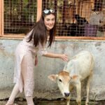 Shefali Jariwala Instagram - I’m going to call you mini-moo ! #cowgirl #notliterally . . . #love #animallovers #peta #petaindia #cowsofinstagram #fridayvibes #friday #pic instalikes