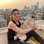 Shefali Jariwala Instagram - Favourite time of the day with my favourite boy ! #puglove #evening . . . #pugmommy #myson #love #sunshine #instalove #sunsets #instagood #picoftheday
