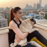 Shefali Jariwala Instagram - Favourite time of the day with my favourite boy ! #puglove #evening . . . #pugmommy #myson #love #sunshine #instalove #sunsets #instagood #picoftheday