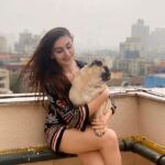 Shefali Jariwala Instagram - My u-paw-star and I , having a paw-some time !!! #internationaldogday #bestfriends #puglife . . . #puglove #pugsofinstagram #love #rainyday #funtimes #pugmom #mybaby #instapic #happytime #instalike