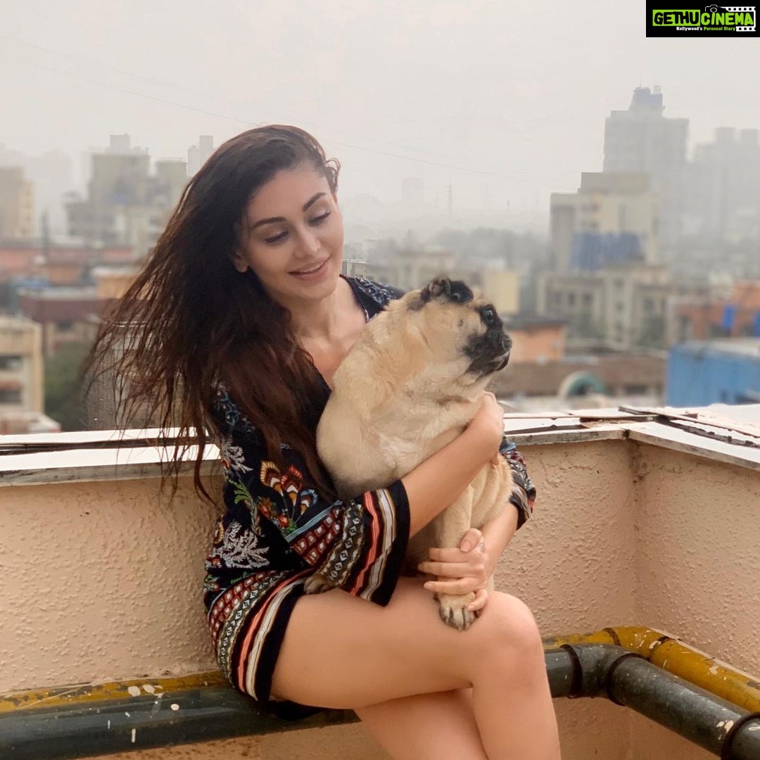 Shefali Jariwala Instagram - My u-paw-star and I , having a paw-some time !!! #internationaldogday #bestfriends #puglife . . . #puglove #pugsofinstagram #love #rainyday #funtimes #pugmom #mybaby #instapic #happytime #instalike