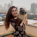 Shefali Jariwala Instagram - My u-paw-star and I , having a paw-some time !!! #internationaldogday #bestfriends #puglife . . . #puglove #pugsofinstagram #love #rainyday #funtimes #pugmom #mybaby #instapic #happytime #instalike
