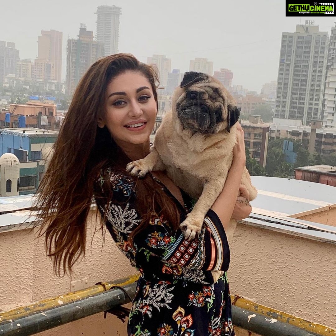 Shefali Jariwala Instagram - My u-paw-star and I , having a paw-some time !!! #internationaldogday #bestfriends #puglife . . . #puglove #pugsofinstagram #love #rainyday #funtimes #pugmom #mybaby #instapic #happytime #instalike