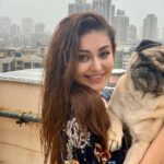 Shefali Jariwala Instagram - My u-paw-star and I , having a paw-some time !!! #internationaldogday #bestfriends #puglife . . . #puglove #pugsofinstagram #love #rainyday #funtimes #pugmom #mybaby #instapic #happytime #instalike