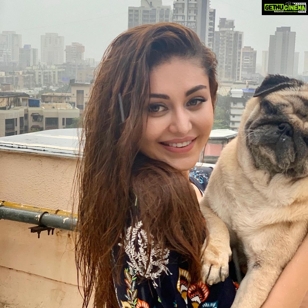 Shefali Jariwala Instagram - My u-paw-star and I , having a paw-some time !!! #internationaldogday #bestfriends #puglife . . . #puglove #pugsofinstagram #love #rainyday #funtimes #pugmom #mybaby #instapic #happytime #instalike