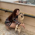 Shefali Jariwala Instagram - My u-paw-star and I , having a paw-some time !!! #internationaldogday #bestfriends #puglife . . . #puglove #pugsofinstagram #love #rainyday #funtimes #pugmom #mybaby #instapic #happytime #instalike