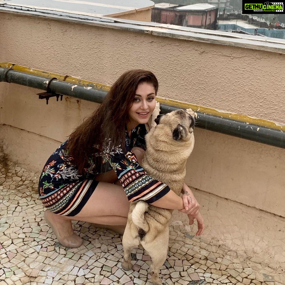 Shefali Jariwala Instagram - My u-paw-star and I , having a paw-some time !!! #internationaldogday #bestfriends #puglife . . . #puglove #pugsofinstagram #love #rainyday #funtimes #pugmom #mybaby #instapic #happytime #instalike