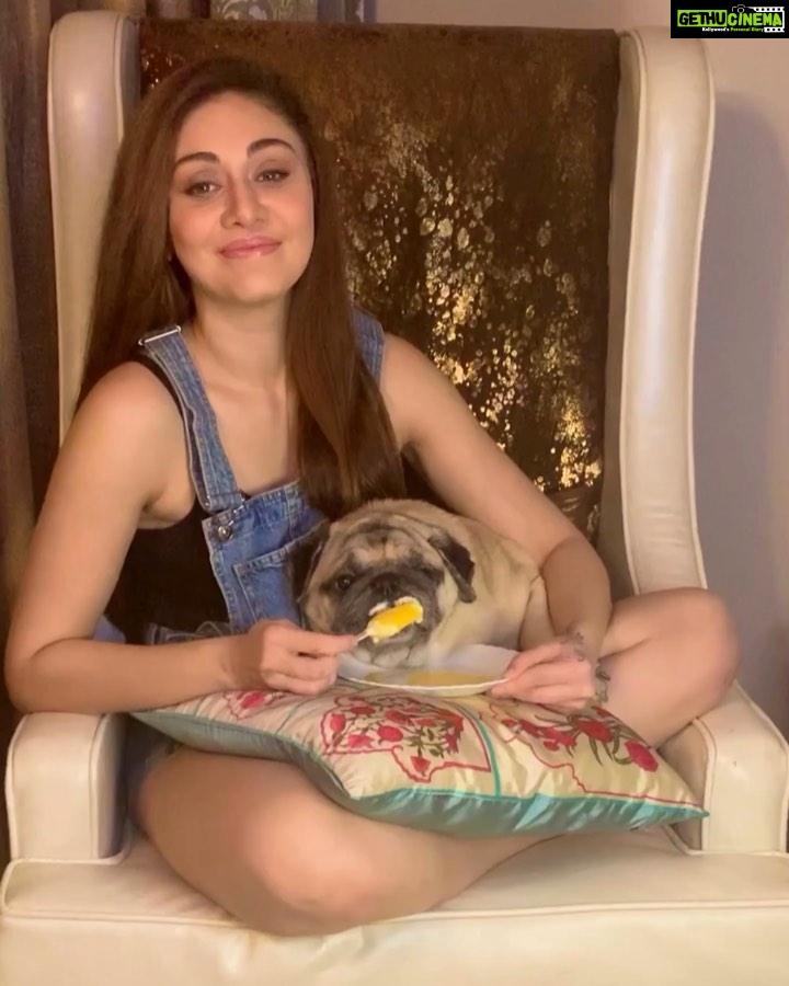 Shefali Jariwala Instagram - Beating our Lockdown blues ! This is how Simba & I chill.... Ice cream always makes everything better ♥️🍦🐶💃🏼 #staykoolstaysafe #homequarantinebelike❤️ #besafe #stayhome #relax #chill #icecream #happiness #enjoythelittlethings
