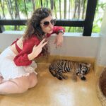 Sherin Instagram - The last pic is my favourite 😻 #sherin #tiger #cub #tigerbaby #thailand #travel #phuket #cute #biggbosstamil #bigboss Tiger PARK Phuket