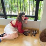 Sherin Instagram – The last pic is my favourite 😻 
#sherin #tiger #cub #tigerbaby #thailand #travel #phuket #cute #biggbosstamil #bigboss Tiger PARK Phuket
