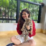 Sherin Instagram - The last pic is my favourite 😻 #sherin #tiger #cub #tigerbaby #thailand #travel #phuket #cute #biggbosstamil #bigboss Tiger PARK Phuket