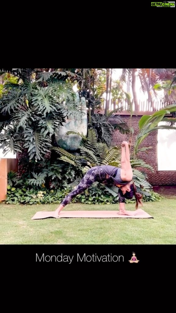 Shilpa Shetty Instagram - A sedentary lifestyle does more harm than we can ever imagine. Giving your body the much-needed stretch every day is crucial. A little while ago, I started practising the ‘Virabhadrasana to Baddha Virabhadrasana to Prasarita Padottanasana’ flow. It works wonders! Not only does it help stimulate the nervous system and abdominal organs, but also opens the lungs & chest. What’s more, it stretches the shoulders, arms, legs, back, and neck; while it also opens up the hips and strengthens the legs & ankles. Cherry on the cake is that it helps calm the mind too! Quite amazing, isn’t it? You must try this one out, and if you do, don’t forget to share them tagging me. @simplesoulfulapp . . . . . #MondayMotivation #SwasthRahoMastRaho #Yoga #fitness #healthylifestyle #yogisofinstagram #FitIndia #SSApp #SimpleSoulful #FitIndiaMovement #yogasehihoga