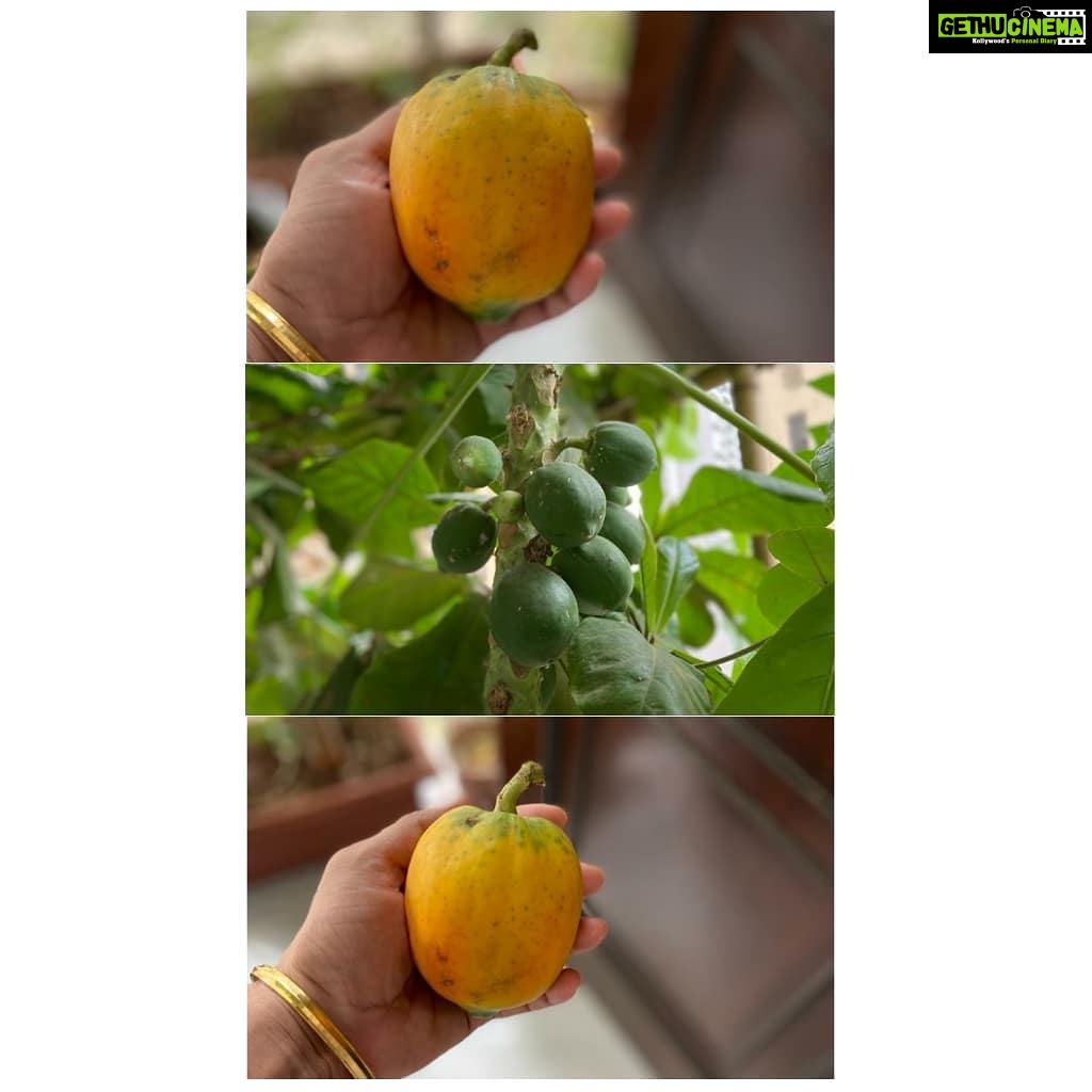 Shreyas Talpade Instagram - Chotu hai...par Ghar ka hai. Can you guess the fruit!? 😬