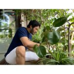 Shreyas Talpade Instagram – This is where all the love grows in our little home💚 These plants are Deepti’s babies too and just like our other babies I love occasionally pampering them too🤗 .
Paying attention to the little details here as told by #TheMrs 😉
.
Pictures by ‘The OG Gardner’ of our home @deeptitalpade 🤗