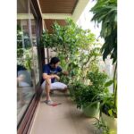 Shreyas Talpade Instagram - This is where all the love grows in our little home💚 These plants are Deepti's babies too and just like our other babies I love occasionally pampering them too🤗 . Paying attention to the little details here as told by #TheMrs 😉 . Pictures by 'The OG Gardner' of our home @deeptitalpade 🤗