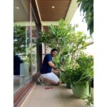 Shreyas Talpade Instagram - This is where all the love grows in our little home💚 These plants are Deepti's babies too and just like our other babies I love occasionally pampering them too🤗 . Paying attention to the little details here as told by #TheMrs 😉 . Pictures by 'The OG Gardner' of our home @deeptitalpade 🤗