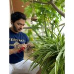 Shreyas Talpade Instagram - This is where all the love grows in our little home💚 These plants are Deepti's babies too and just like our other babies I love occasionally pampering them too🤗 . Paying attention to the little details here as told by #TheMrs 😉 . Pictures by 'The OG Gardner' of our home @deeptitalpade 🤗