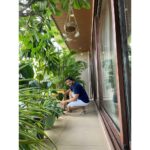 Shreyas Talpade Instagram - This is where all the love grows in our little home💚 These plants are Deepti's babies too and just like our other babies I love occasionally pampering them too🤗 . Paying attention to the little details here as told by #TheMrs 😉 . Pictures by 'The OG Gardner' of our home @deeptitalpade 🤗