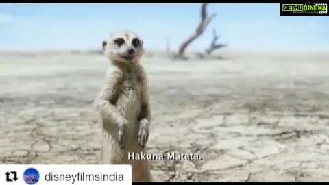 Shreyas Talpade Instagram - Chal repeat maar chote! 🕺 #Repost @disneyfilmsindia (@get_repost) ・・・ #HakunaMatata! Yeh funda bemisaal. Buy your tickets for #TheLionKing now. Link in bio. @shreyastalpade27 @imsanjaimishra #Simba #Timon #Pumbaa #TimonAndPumbaa
