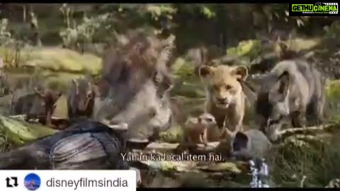 Shreyas Talpade Instagram - Chalo pantarlog jaga banao...Bhailog aa gaye le hai😎🥳 #Repost @disneyfilmsindia (@get_repost) ・・・ "Yahaan ka local item hai" #TheLionKing in cinemas July 19 Tickets on sale now: link in bio @shreyastalpade27 @imsanjaimishra #TimonAndPumbaa #Timon #Pumbaa #Simba