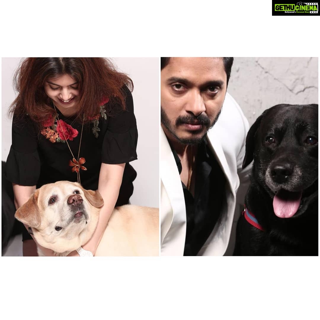 Shreyas Talpade Instagram - This is our pawfect lil family 🐾 Showering us with unconditional love since 10years❤️ #DonKnight . . #MyDogsJourney @adogsjourneymovie @reliance.entertainment @amblin @amblin