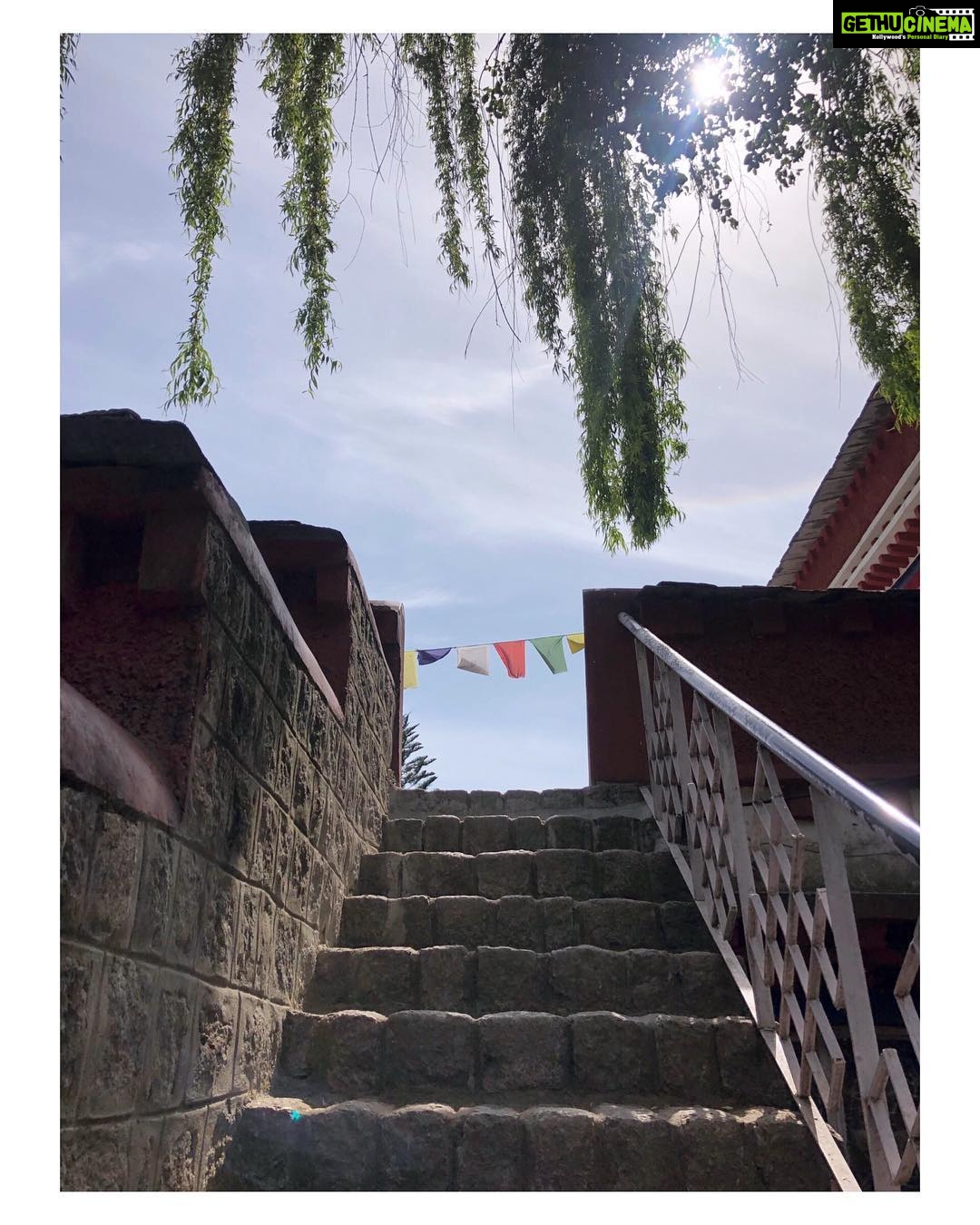 Simran Sharma Instagram - l i b e r a t e ✨ #stairwaytoheaven #perspective Norbulingka Institute