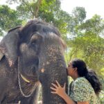Sneha Babu Instagram - @theelephantcourtofficial ❤✨