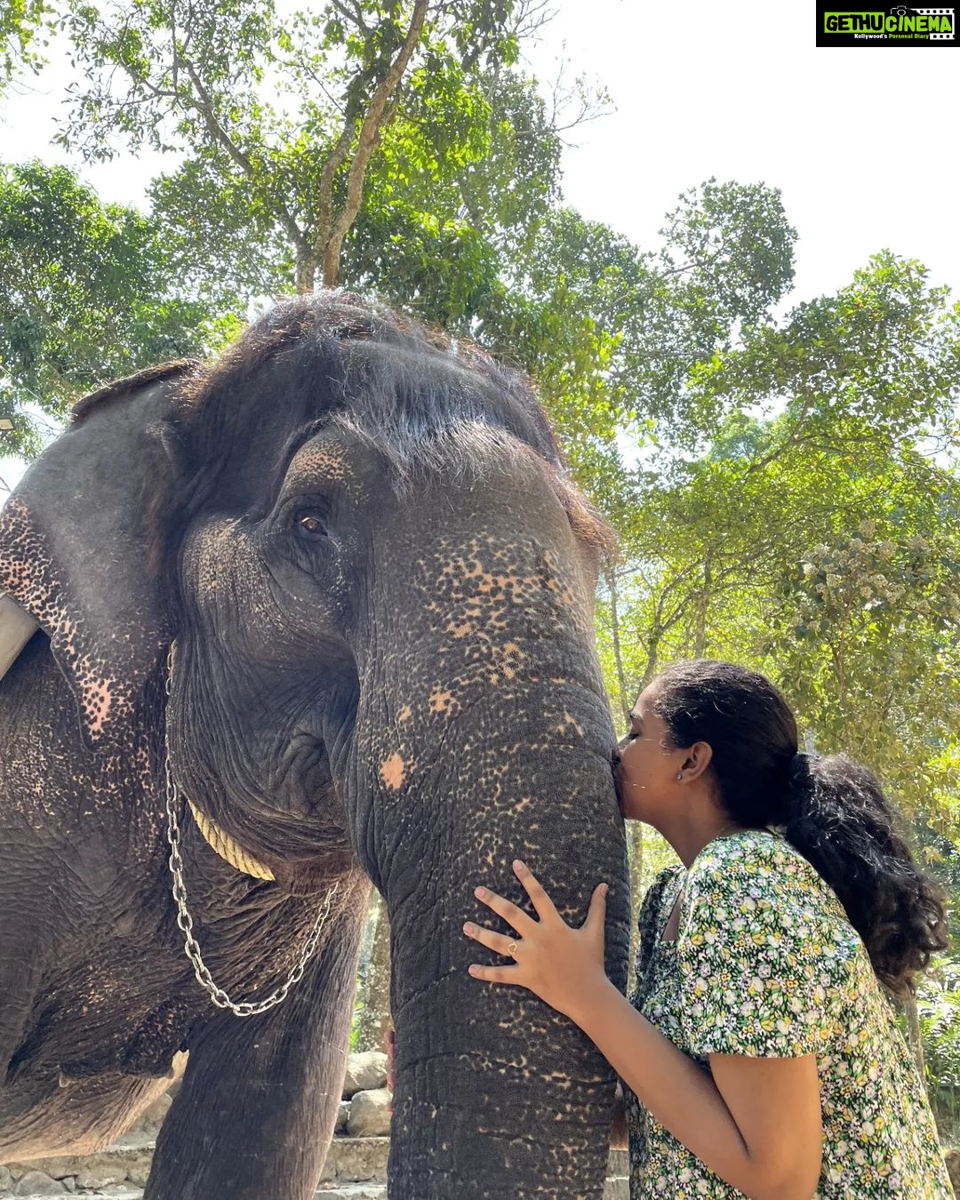 Sneha Babu Instagram - @theelephantcourtofficial ❤✨