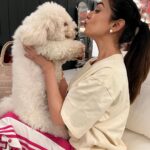 Sonal Chauhan Instagram - Friday got me like 😘🐶 . . . . . . . . . . . . . . . . . . . . #love #friday #sonalchauhan #puppiesofinstagram