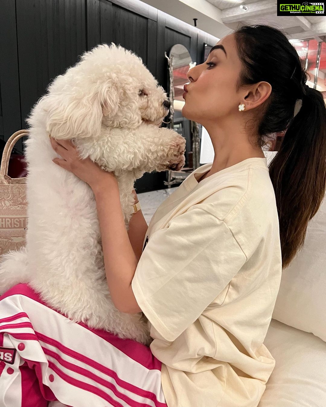 Sonal Chauhan Instagram - Friday got me like 😘🐶 . . . . . . . . . . . . . . . . . . . . #love #friday #sonalchauhan #puppiesofinstagram