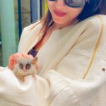Sonal Chauhan Instagram - Pls Help me ID this cutie 🦫🐀🧸🤔 . . . . . . . . . . . . . . . . . . . . #love #cutie #sonalchauhan #animal #reels #reelsinstagram #reelitfeelit #reelsvideo