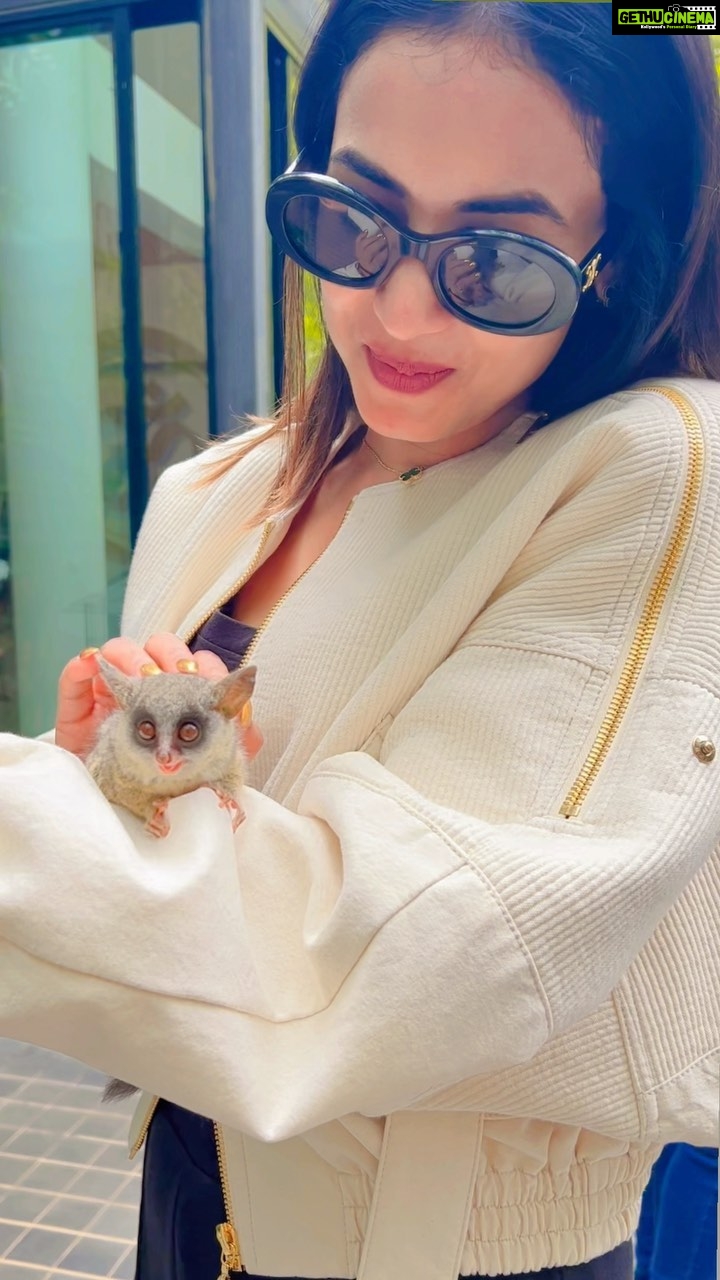 Sonal Chauhan Instagram - Pls Help me ID this cutie π¦«ππ§Έπ€ . . . . . . . . . . . . . . . . . . . . #love #cutie #sonalchauhan #animal #reels #reelsinstagram #reelitfeelit #reelsvideo