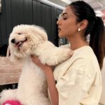 Sonal Chauhan Instagram - Me refusing to acknowledge its Monday 🐶 . . . . . . . . . . . . . . . . . . . . #love #monday #sonalchauhan #puppiesofinstagram