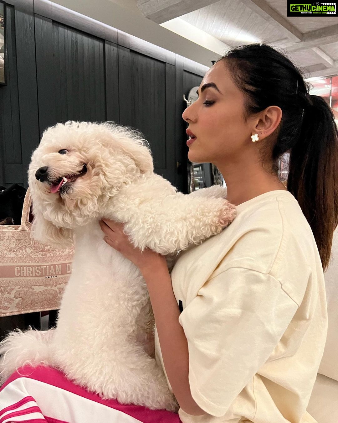 Sonal Chauhan Instagram - Me refusing to acknowledge its Monday 🐶 . . . . . . . . . . . . . . . . . . . . #love #monday #sonalchauhan #puppiesofinstagram