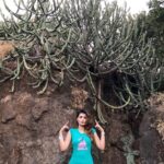 Sonali Raut Instagram – Hard to handle🌵🌵🌵!!!!
#instaquote #instalook #instagirl #nature
#naturelovers