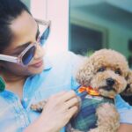 Sriya Reddy Instagram – My Love for animals is something else ! Recently I lost my best friend my baby spice (pug) who was everything to me ! Everybody suggested I should get another one to fill the void … just can’t get myself to do that ! Until then meet my new friend suzume in Japanese it means sparrow the cutest !