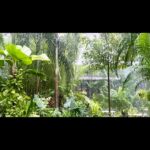 Sunder Ramu Instagram -
