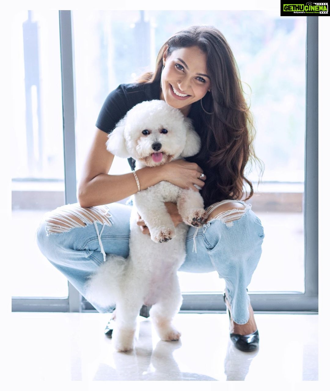 Sunder Ramu Instagram - @therealandreajeremiah @jonsnow.bichon