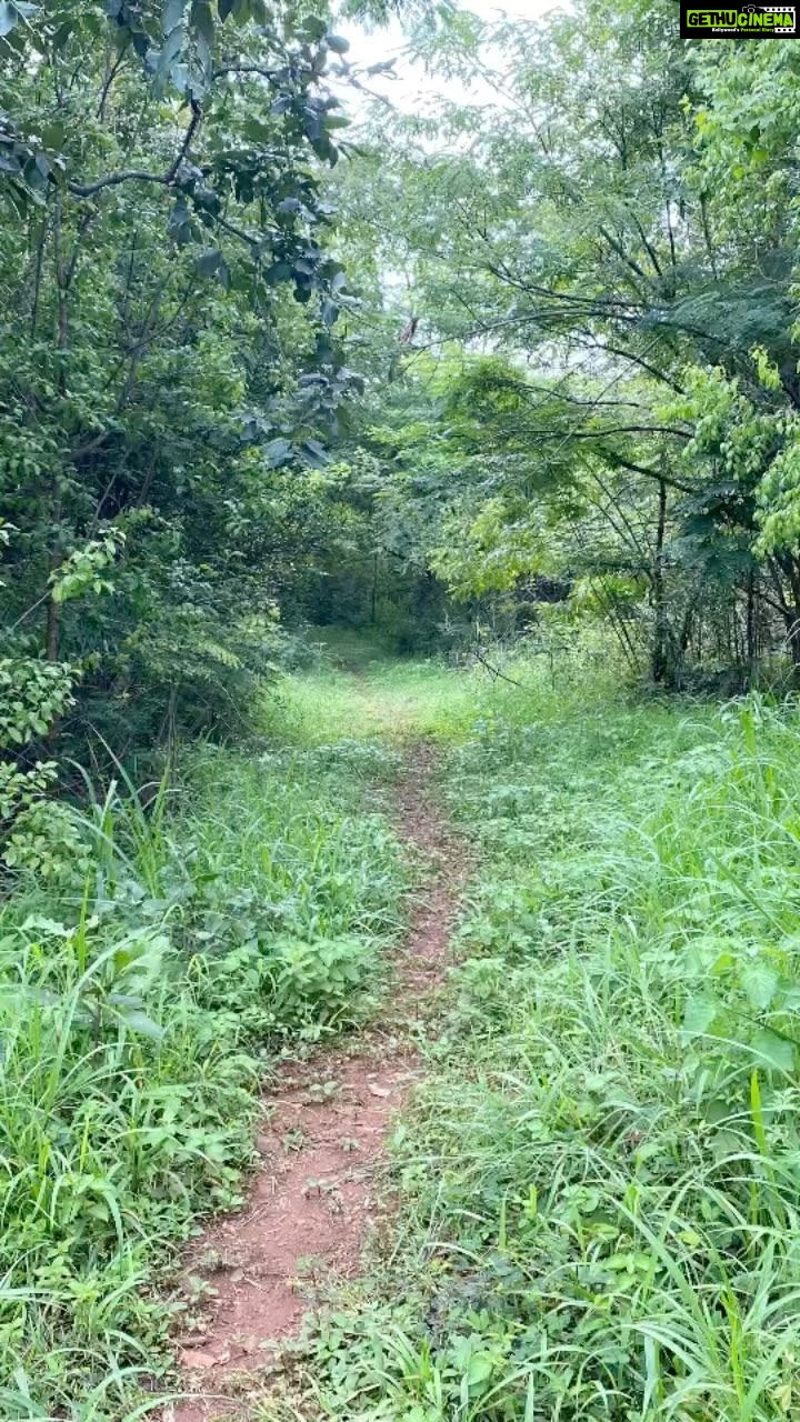Sunder Ramu Instagram - How green is my valley. The valley school b’day 2022