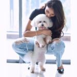Sunder Ramu Instagram - @therealandreajeremiah @jonsnow.bichon