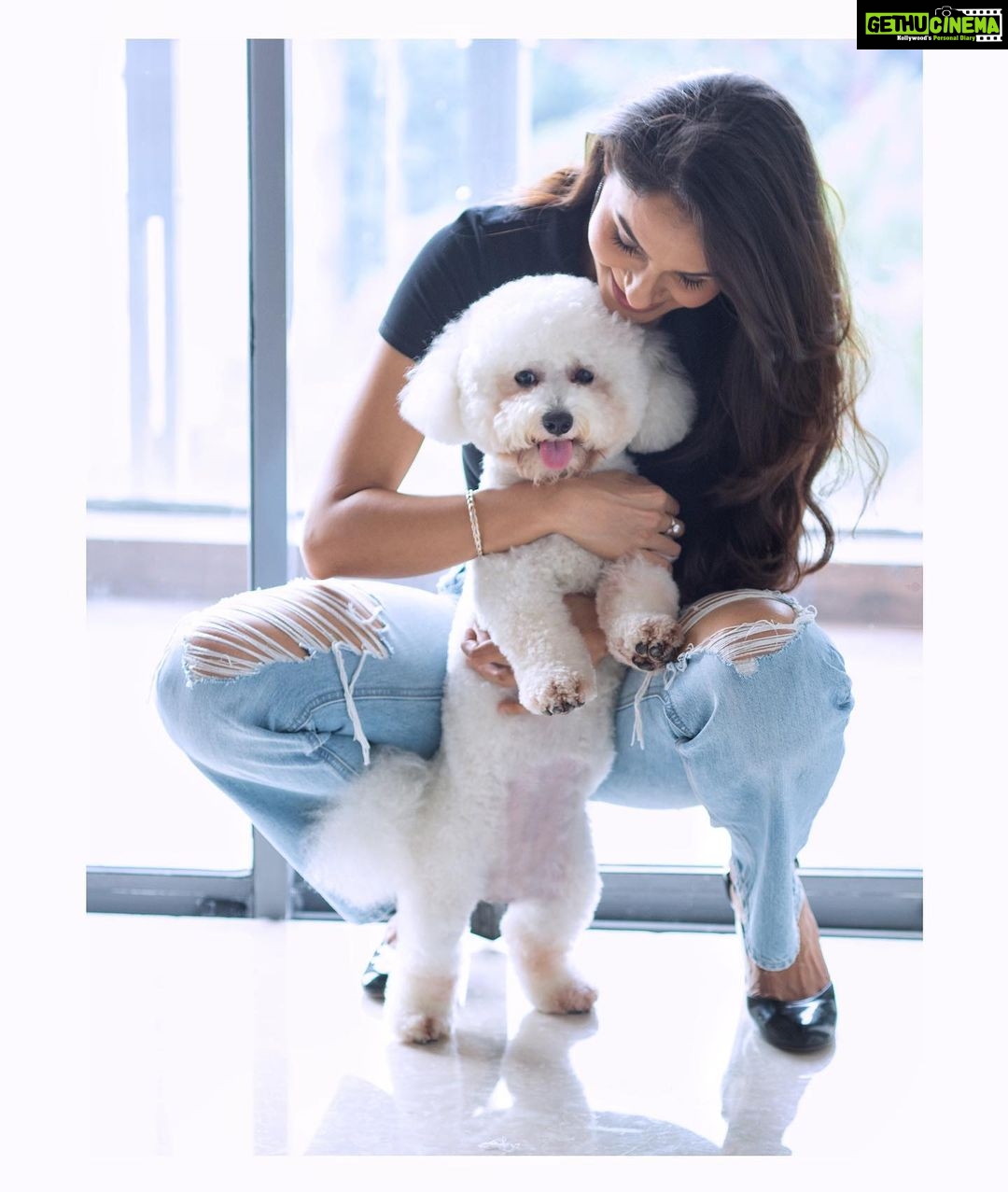 Sunder Ramu Instagram - @therealandreajeremiah @jonsnow.bichon