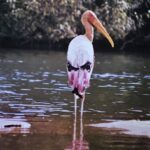 Sunder Ramu Instagram - One of the earliest images of me as a photographer and the images I shot on that trip.