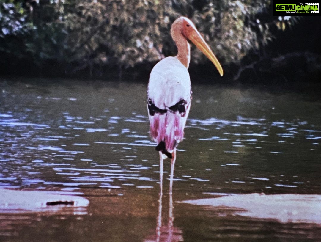 Sunder Ramu Instagram - One of the earliest images of me as a photographer and the images I shot on that trip.