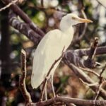 Sunder Ramu Instagram - One of the earliest images of me as a photographer and the images I shot on that trip.